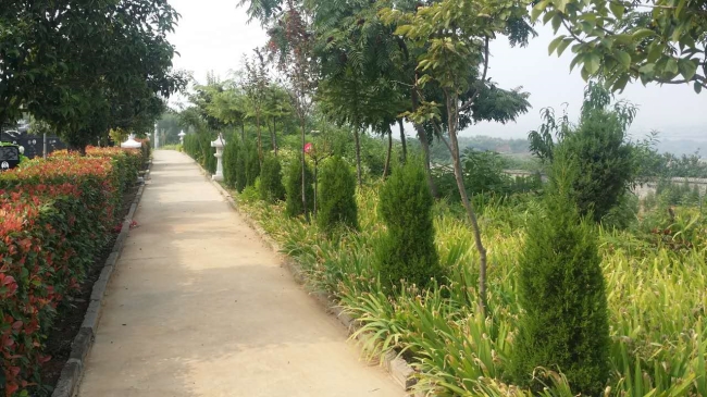 園區(qū)景觀(guān)